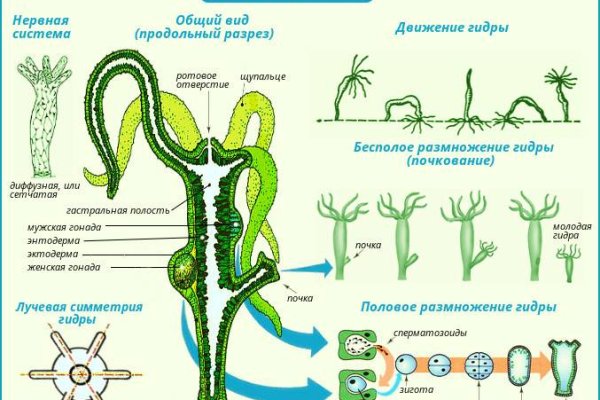 Kraken официальный сайт даркнет