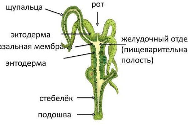 Как через сафари зайти на кракен