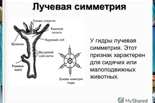 Кракен сайт krk market com