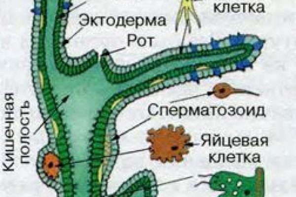 Даркнет онион сайты